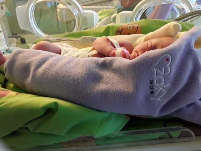 WhatsApp Image 2025-11-15 at 11.19.57