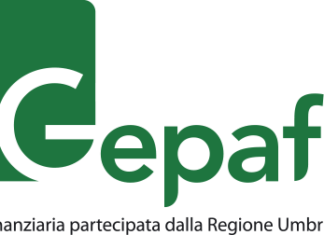 Gepafin cerca un Esperto in gestione e politiche di ingegneria finanziaria a supporto delle imprese