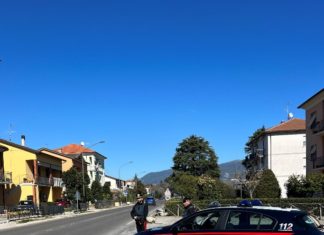 19enne straniero arrestato in flagranza per furto aggravato dai Carabinieri