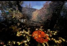 Musica, Babbo Natale ed eventi per le vie della città: nel vivo il Natale a Norcia