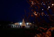 Un Barton Park in versione natalizia ha fatto il pieno di presenze nel ponte dell’Immacolata