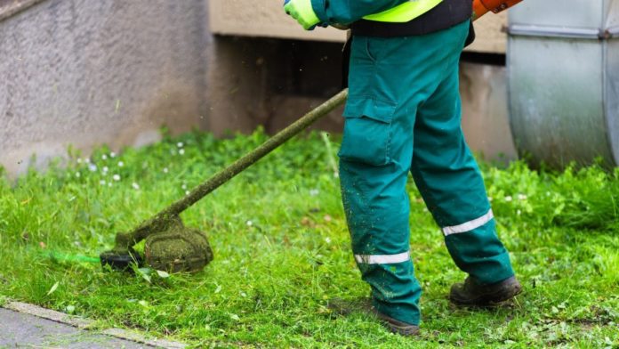 giardiniere-iStock-2133312023-1750328723942-1200x675